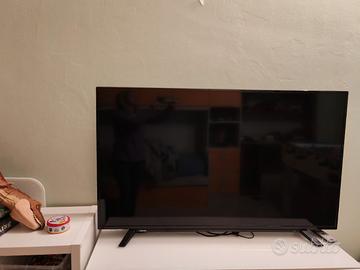 televisore da far rivisionare