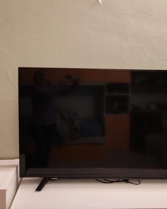 televisore da far rivisionare