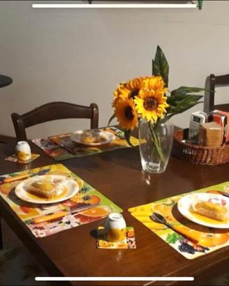 Via plebiscito arredato si residenza