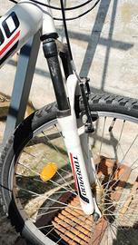 Bicicletta ragazzo taglia 26 Torpado MTB