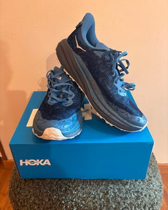 Hoka speedgoat 6 GTX