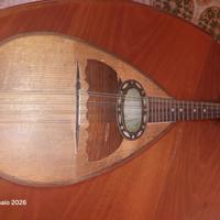 Mandolino classico Napoletano