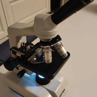 Microscopio OPTIKA B-120