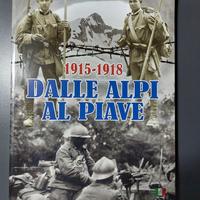 1915 1918 Dalle Alpi Al Piave 1 Prima Guerra Mondi