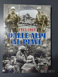 1915 1918 Dalle Alpi Al Piave 1 Prima Guerra Mondi