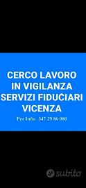 Vigilanza sicurezza non armata