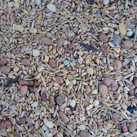 Miscuglio cereali e leguminose per animali 