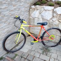 mountain-bike ragazza