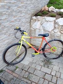 mountain-bike ragazza