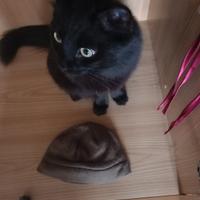 cappellino militare