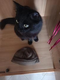 cappellino militare