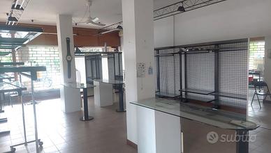 Negozio Cadoneghe [0493251052VCG]