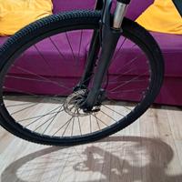 Riverside 540 E motore centrale