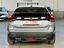 Immagine 7