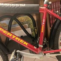 Bicicletta mountain-bike