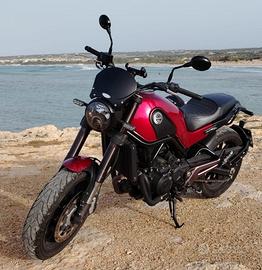 Leoncino benelli