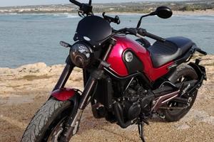 Leoncino benelli