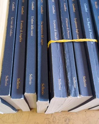 Editore Sellerio Romanzi