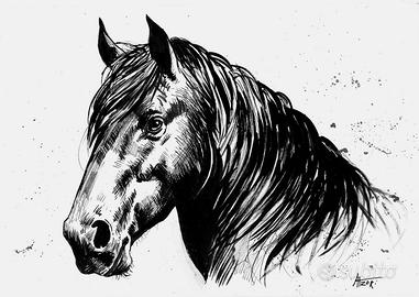 disegno a china cavallo 