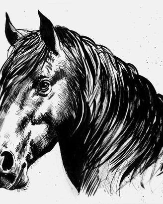disegno a china cavallo 