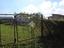 Immagine 9