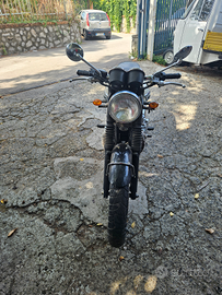 Triumph bonneville t100