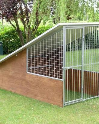 Box per cani modello labrador