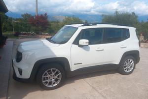 Jeep renegade 2020