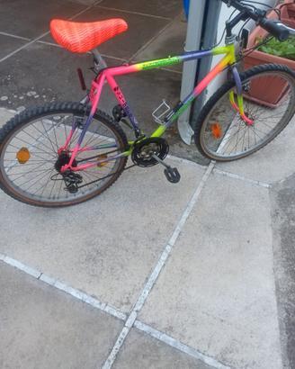 Bicicletta