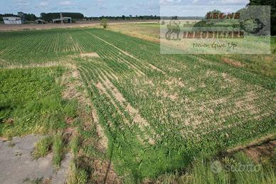 Terreno di 3000 m² a Bornasco