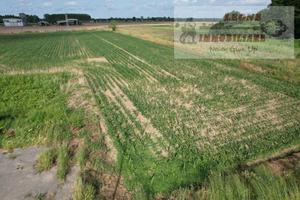Terreno di 3000 m² a Bornasco