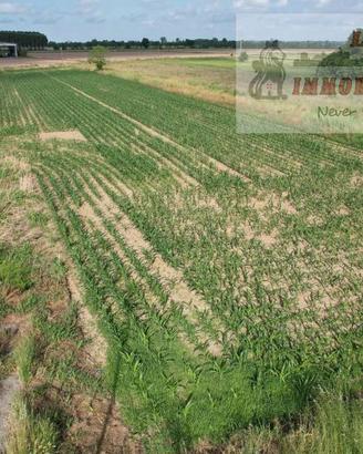 Terreno di 3000 m² a Bornasco