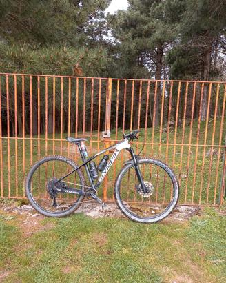 mtb 29 taglia s