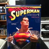 Superman forever mini statue limited edition