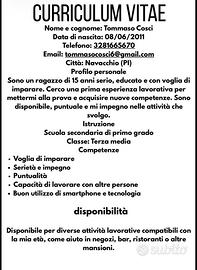 Addetto alla ristorazione/addetto vendita