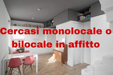 Chiedo monolocale/bilocale a Padova
