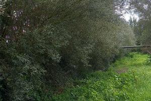 Terreno agricolo