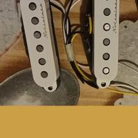 set di 2 pickup originali Fender Vintage Noiseless