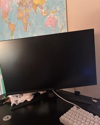 MONITOR  ASUS TUF GAMING (pannello da sostituire)