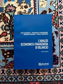 NUOVO L’analisi economico finanziaria di bilancio