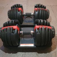 coppia manubri regolabili tipo Bowflex