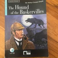Libro vacanze “The Hound of the Baskerville”