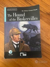 Libro vacanze “The Hound of the Baskerville”