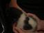 Immagine 4
