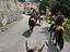 Immagine 4