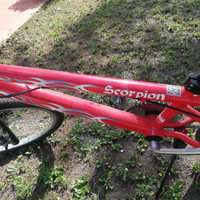 Bicicletta rossa scorpion