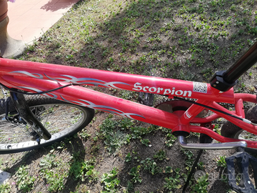 Bicicletta rossa scorpion