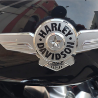 Harley-davidson fat boy 114
