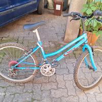 mountain bike