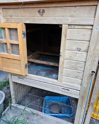 Pollaio per 6/8 galline